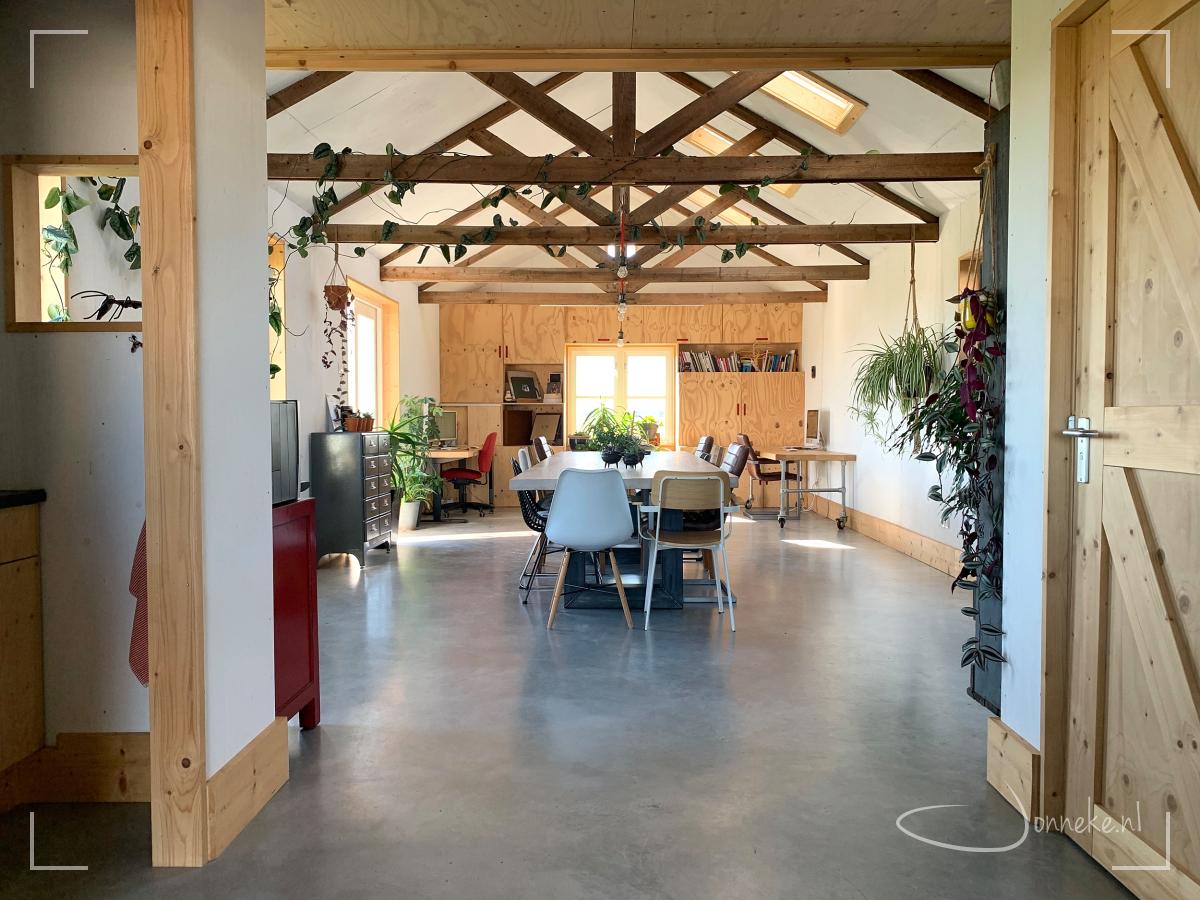 Ochtendzonnetje in het atelier