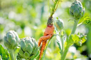 Moestuinieren