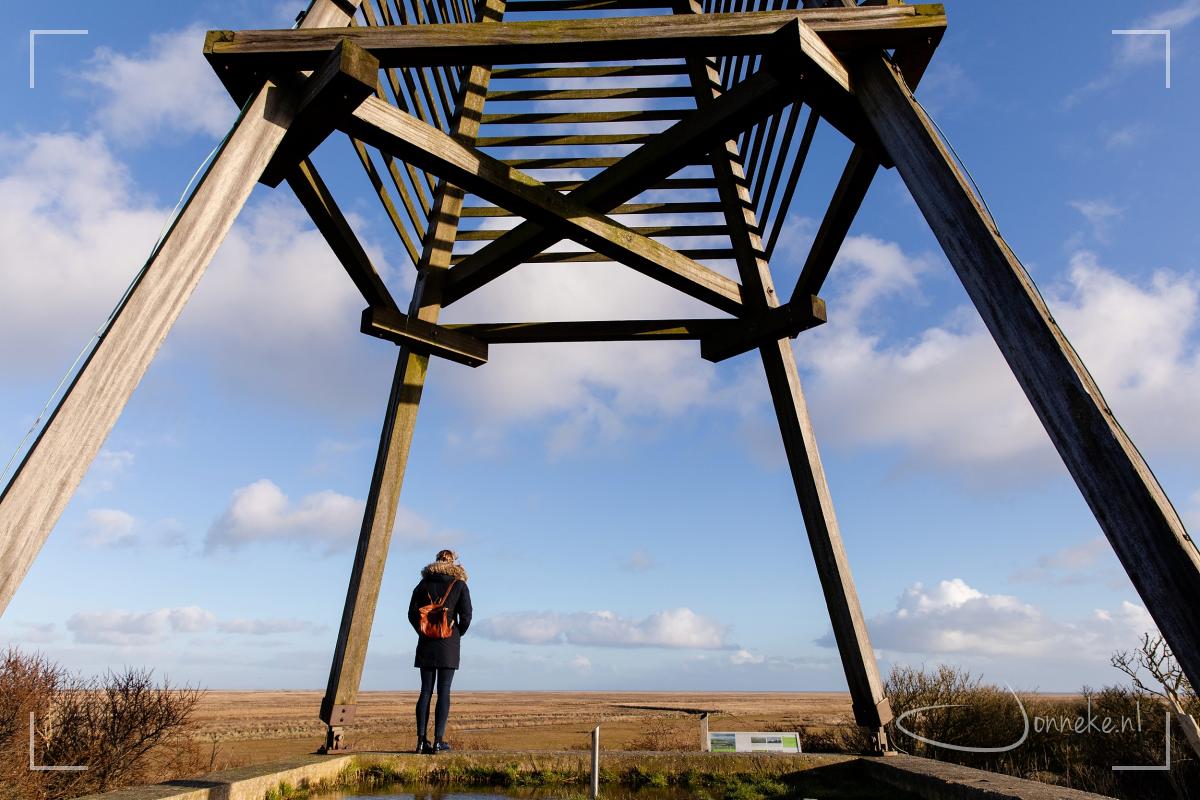 Stilte en de zee