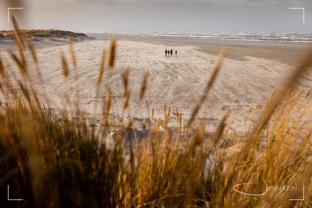 Stilte en de zee