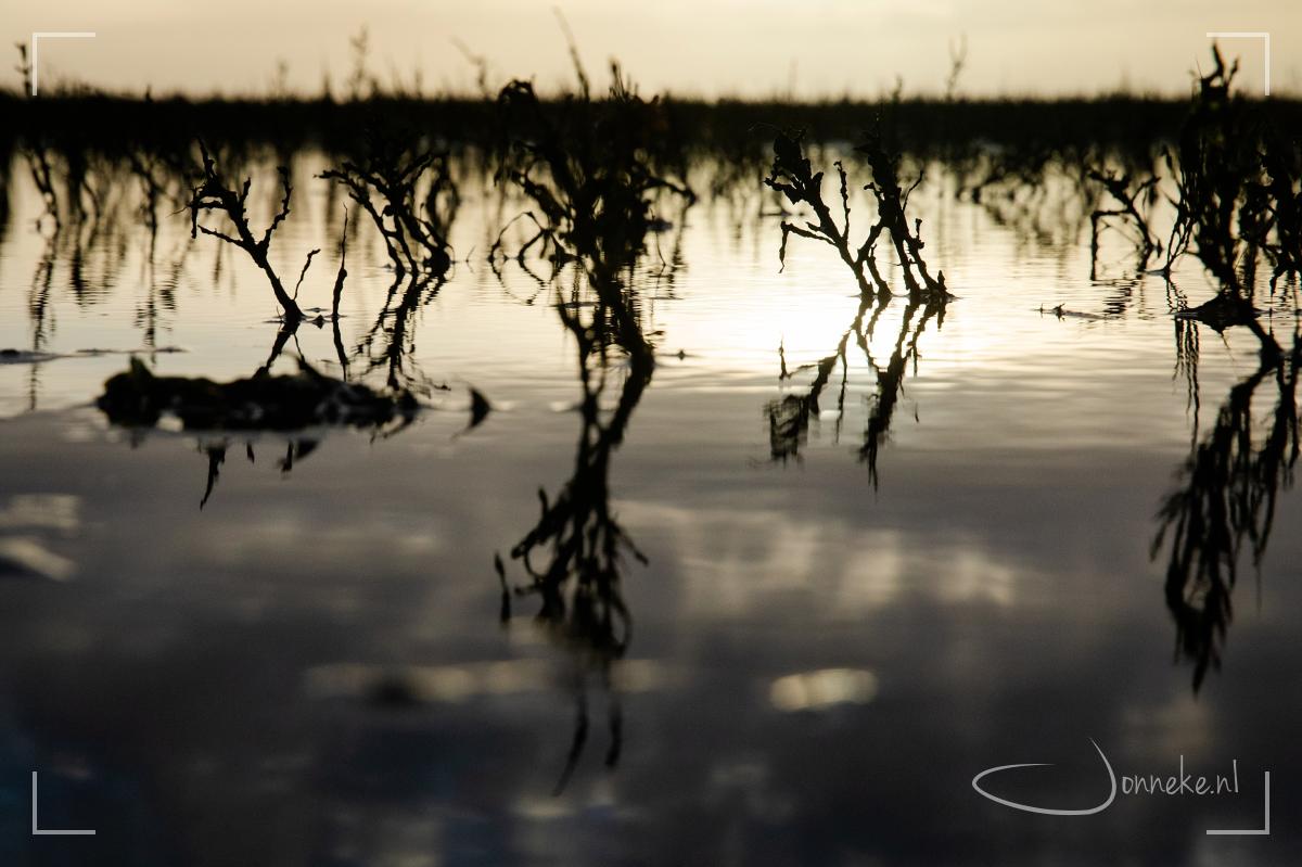 Stilte en de zee