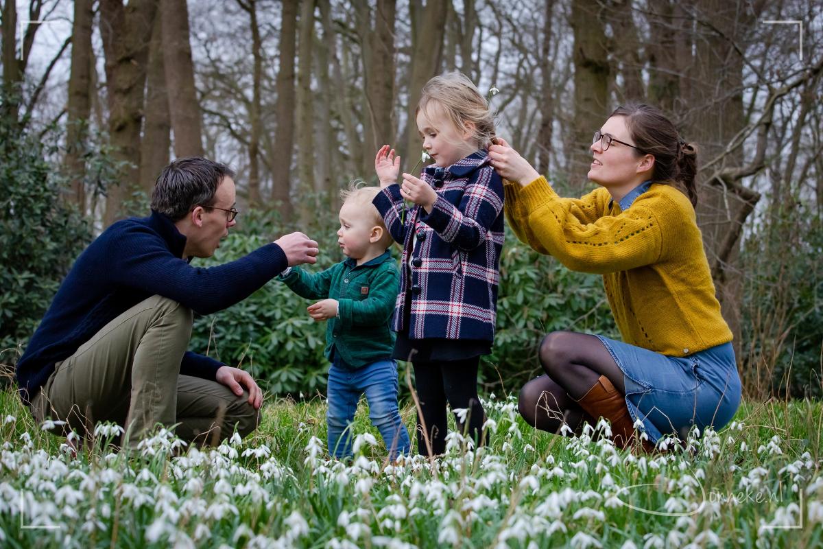Voorjaarsshoot - plus actie! -
