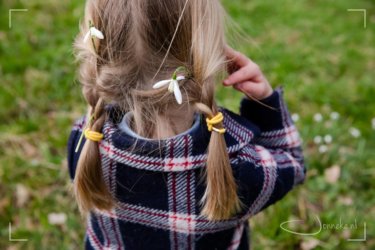 Voorjaarsshoot - plus actie! -