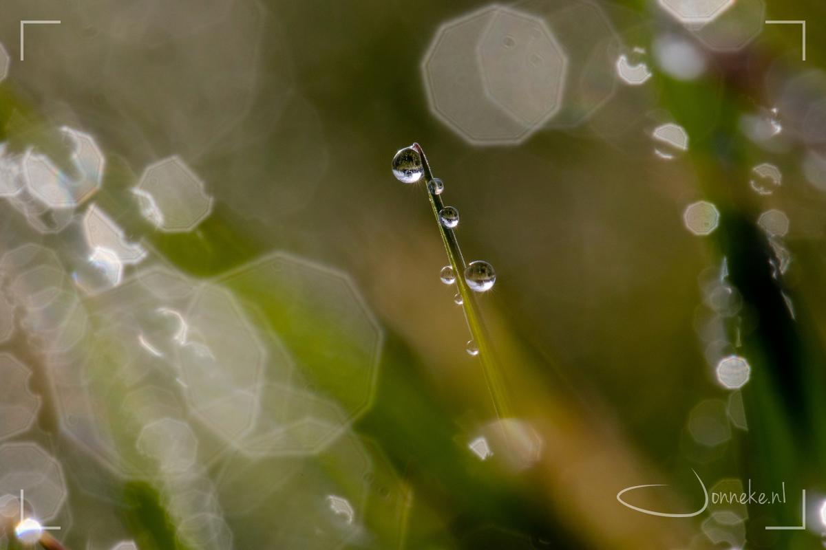 Ontstemd - stem(on)gemak