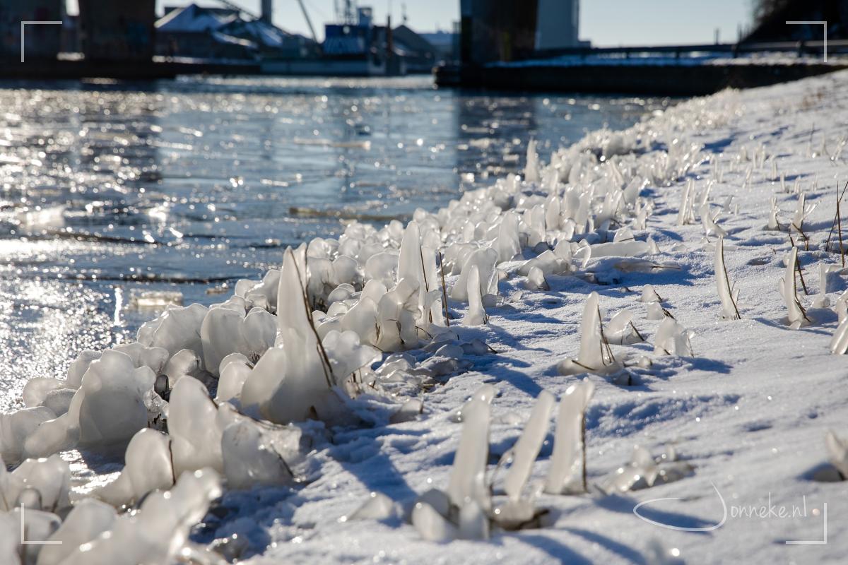 De winterweken van 2021