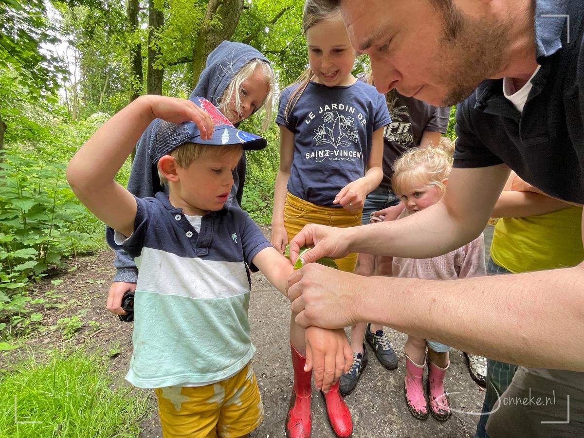 ... nou ja, of soms niet. Brandnetels doen gewoon echt zeer, maar gelukkig is daar een natuurlijk middeltje voor!