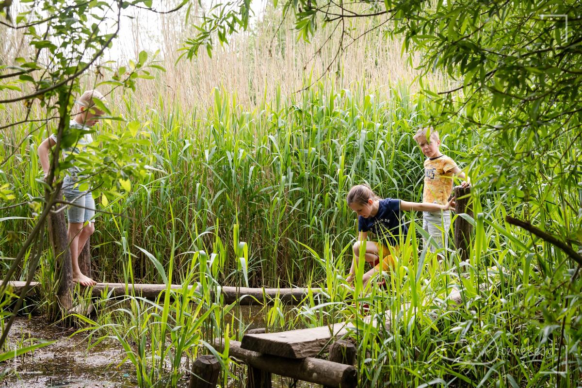 Nifjesfeest 2021 - Andersom -