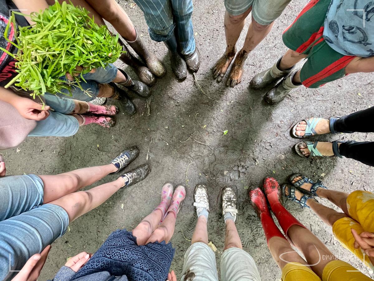 Nifjesfeest 2021 - Andersom -