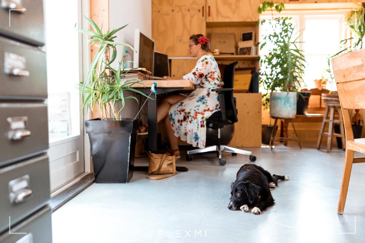 Ik werk meestal met gezelschap. Bijna altijd is er wel een hond of kat in de buurt ;-)