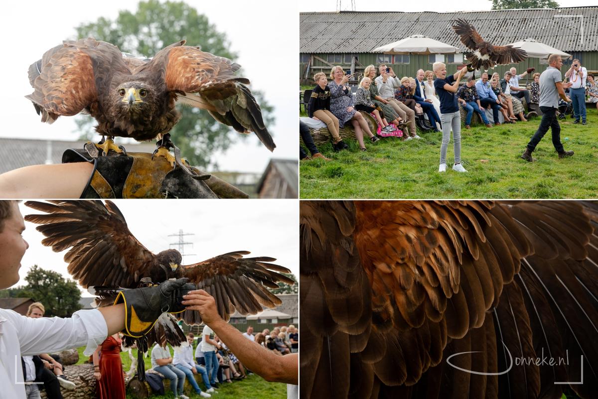 Bij Roofvogels in de Valk volgt een roofvogelshow. Klein en groot kan meedoen en eens deze prachtige dieren van dichtbij bekijken.