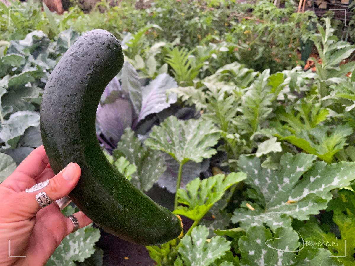 Moestuinieren