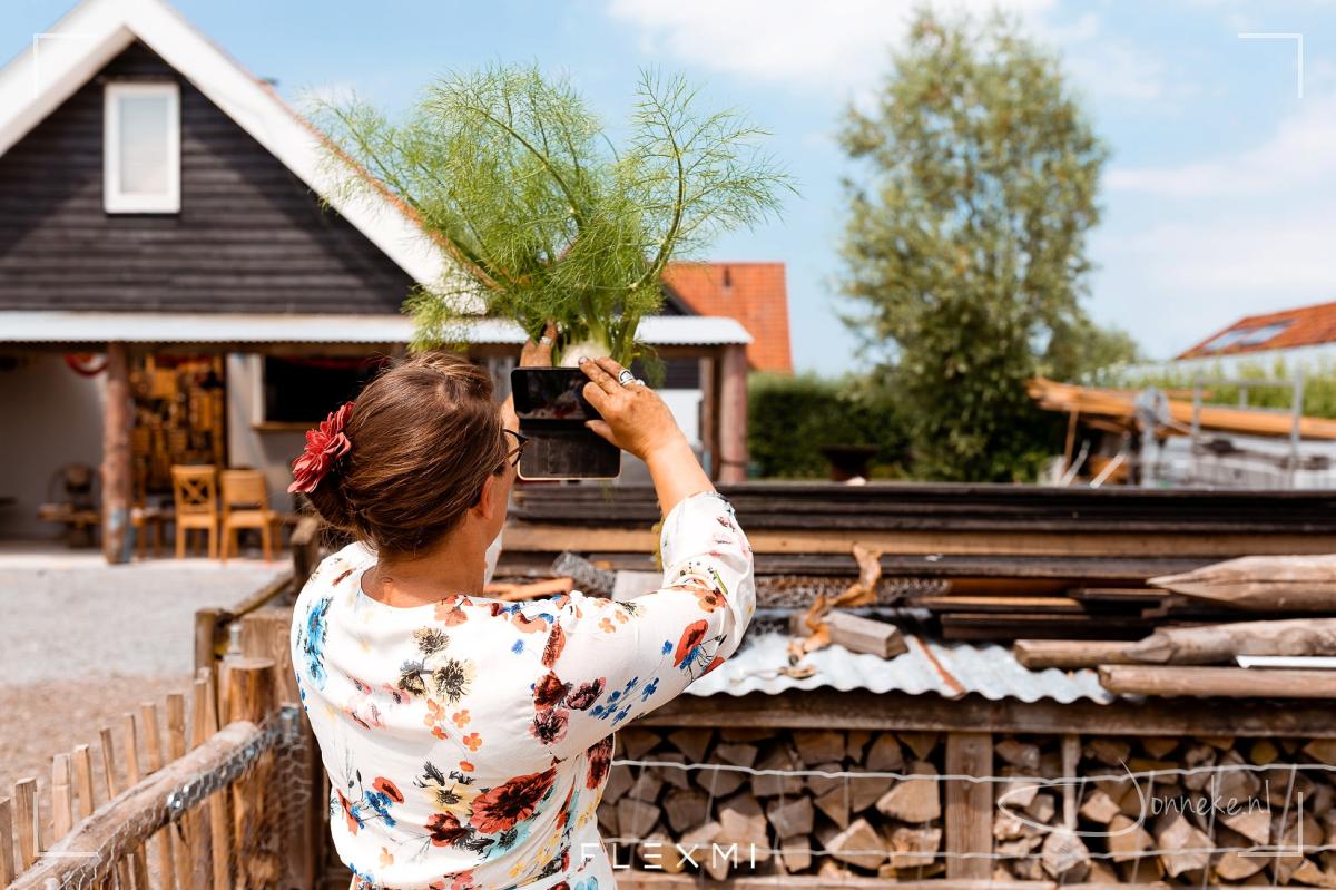 Een knots van een venkel uit de tuin geoogst moet natuurlijk op de foto ;-)