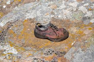 Over klauwen en pantoffels
