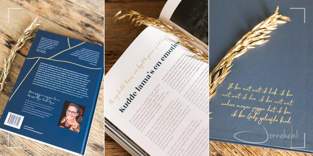 Scherven en genadegoud - boek is uit!
