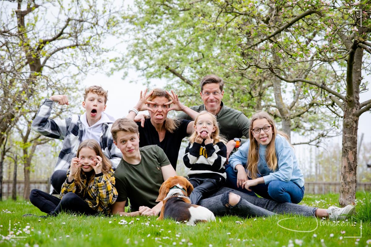 Wie wint de schoonheidsprijs?