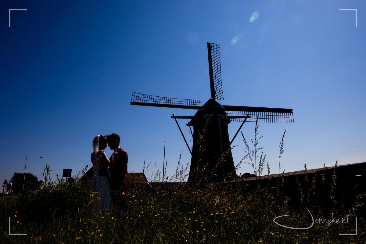 Na de stad ook graag nog foto's in de natuur. En wat is het mooi daar bij de Kaag. Foto's met molen, koeien, boten, water - Hollandser kan het bijna niet.