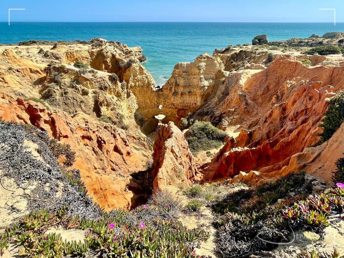 Vakantieblog - Algarve