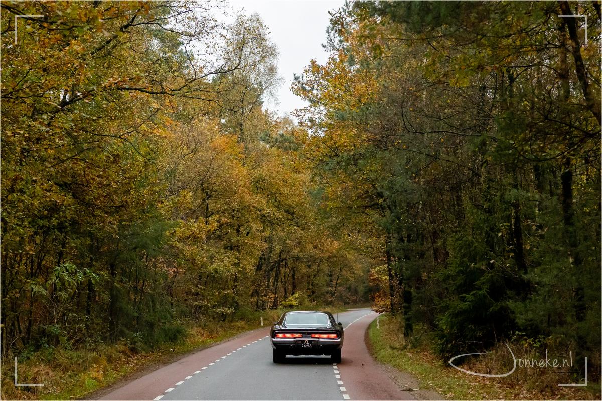 Mooi die herfstkleuren he? Oh ja, die auto ook natuurlijk.