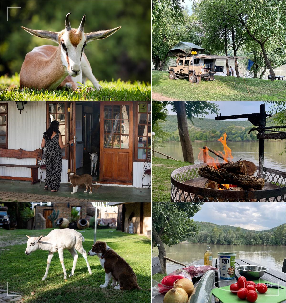 Een camping aan de Vaalrivier, waar honden, katten, makke bokjes, paarden, eenden, kalkoenen en nog meer vrij rondliepen. Fantastische plek, vond ik, dat snap je!