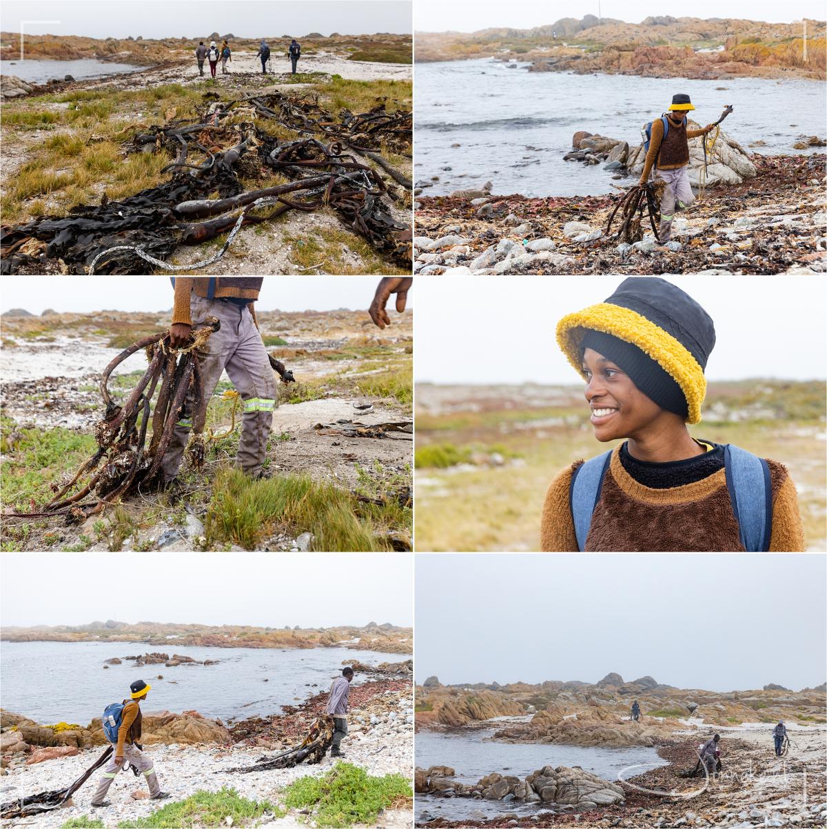De volgende morgen lopen er opeens een groepje mensen over het strandje en ze nemen de aangespoelde kelpplanten mee. Ik word nieuwsgierig dus ik ga vragen waarom. Nou inderdaad, het wordt schoongespoeld, fijngemalen en als medicijnen en kruiden gebruikt/verkocht. En deze mistige dag is prima om dit werk te doen volgens hen ipv de zomerse hitte.