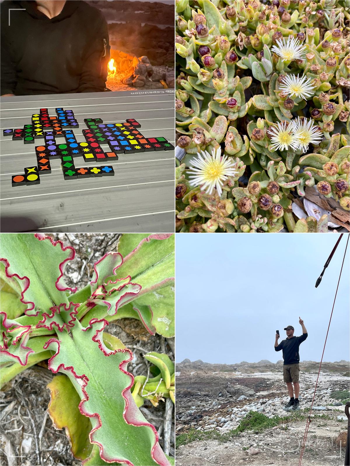 Slecht bereik daar... dus Sjoerd probeert even ontvangst te versterken. Veel zitten we echter niet op onze telefoons: ik struin uren over de rotsen, geniet van het zout, de plantjes. We lezen een boek/tijdschrift en spelen elke avond spelletjes.