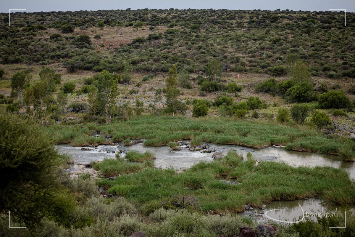 We besluiten naar een klein park te gaan: Mokala National Park. En voor het eerst in al die weken, besluiten we een klein huisje te boeken ivm de regen. Met de verwachte buien is kamperen niet heel fijn. Dus voor het eerst een 'echt bed' ;-) Het huisje had dit uitzicht...