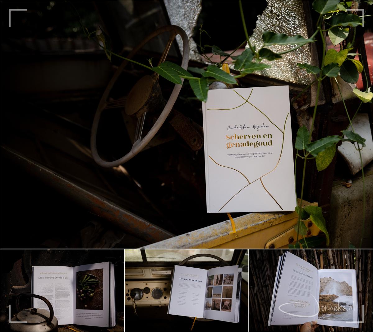 Cederbergen, Tietiesbaai en terug richting huis - ZuidAfrika II