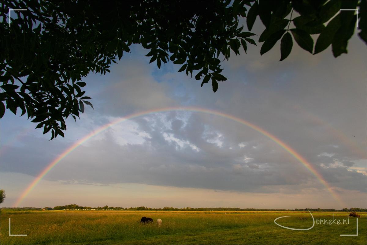 Een brief voor jou: wat vier jij?