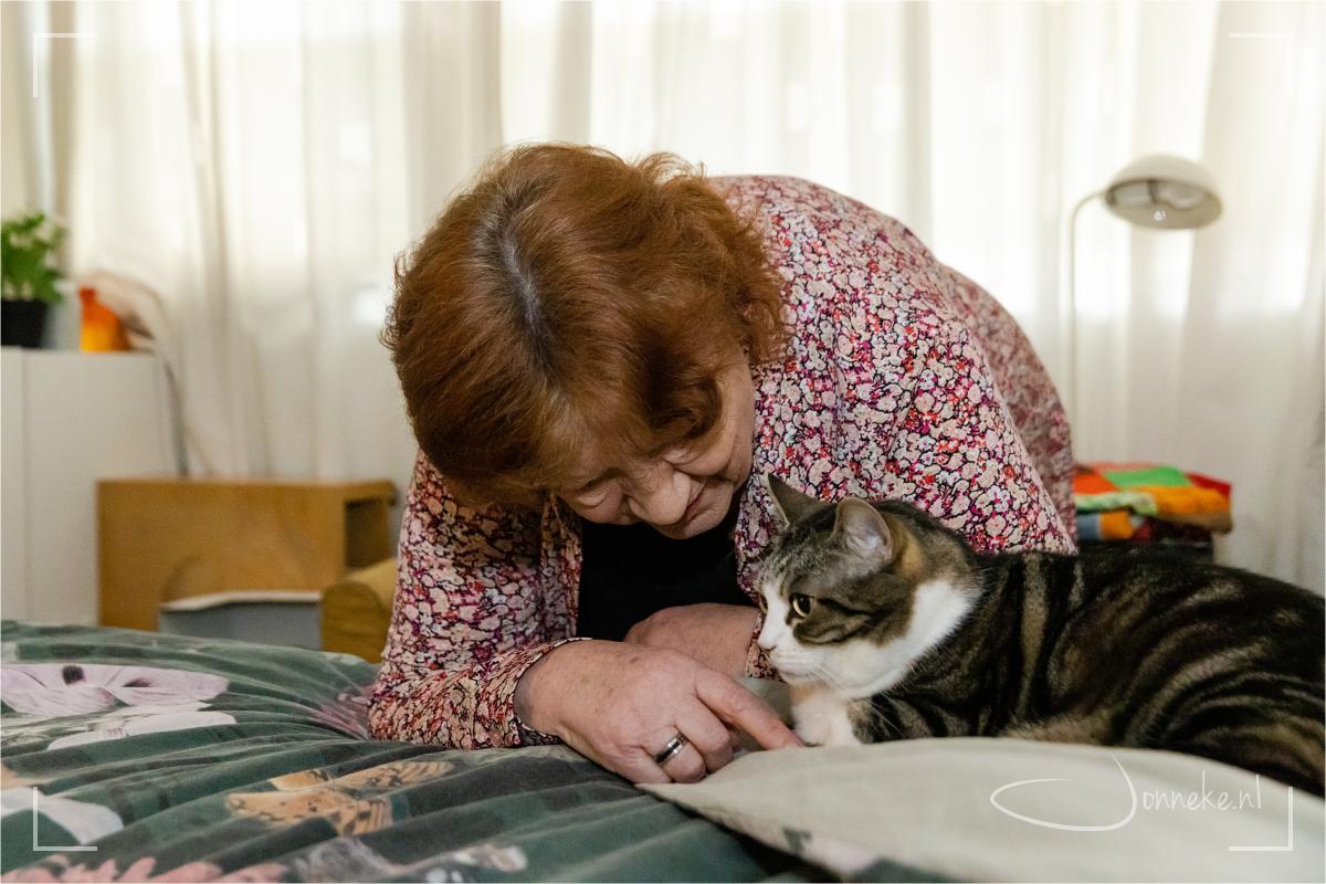 Aandacht voor de kat