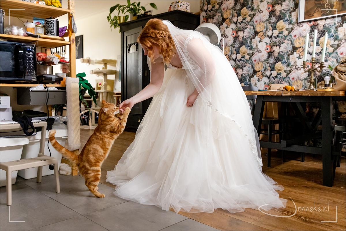 Oh, zie je die kat met kapsel van Simone zo prachtig matchen?