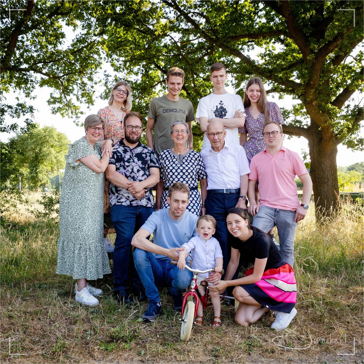 Gezins-en familiegeluk