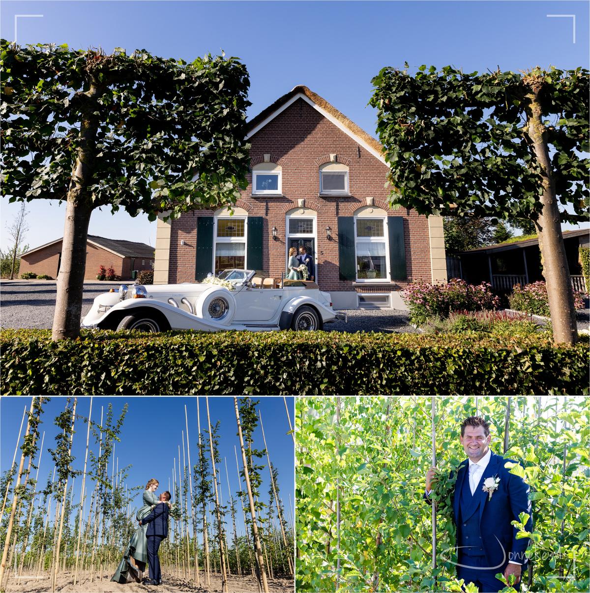 Beste Gijsbert en Jantine, veel geluk op jullie prachtige plek, tussen alle bomen die het voorbeeld geven: ga groeien en bloeien en wees tot zegen!