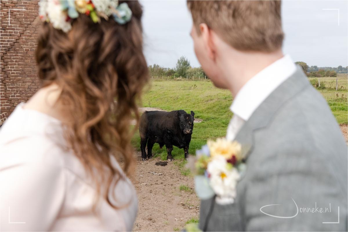 Zo. Grote jongen. Gelukkig bleef ie op afstand. (in m'n hoofd zie ik de boel al escaleren dan he... ;-))