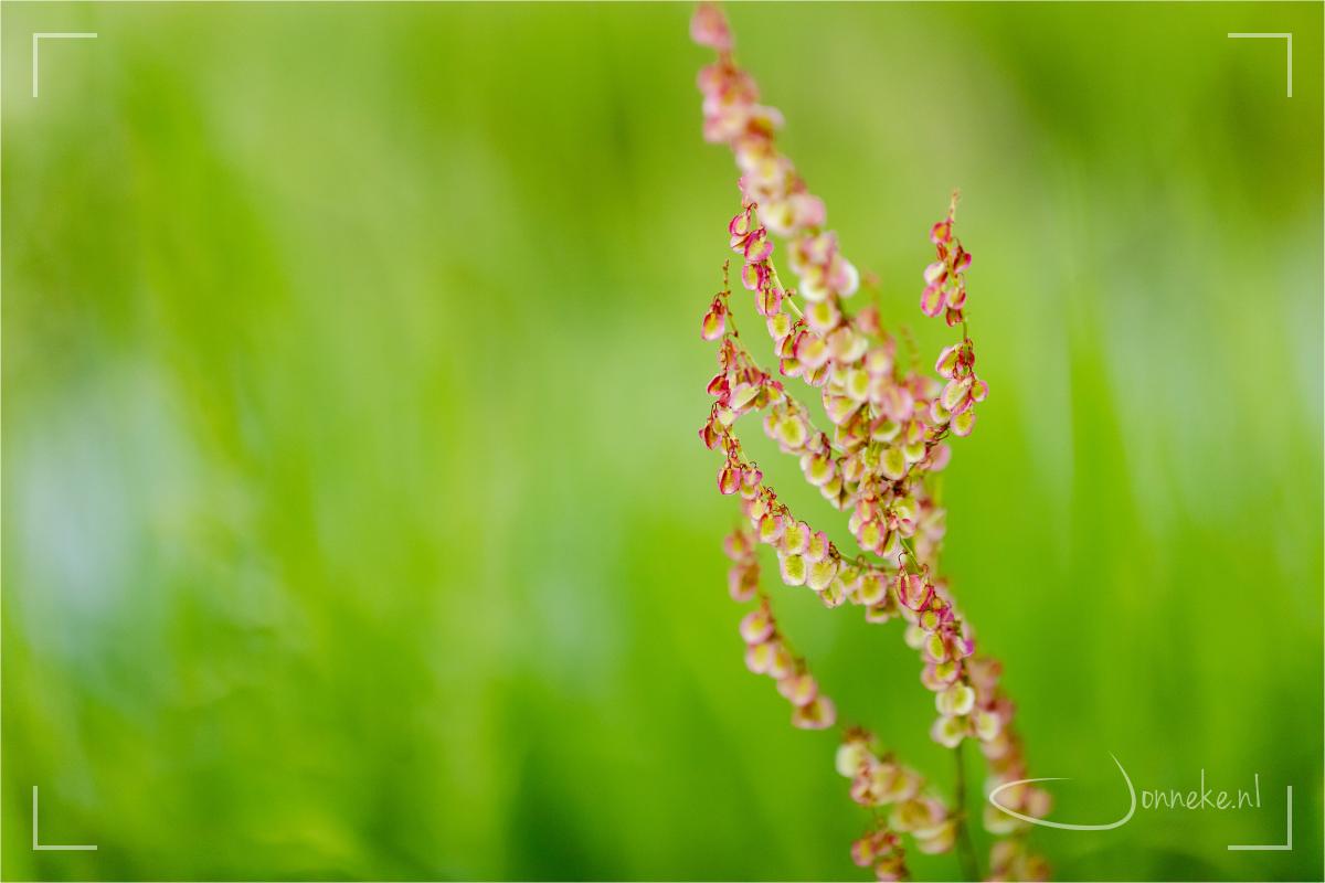 Wat betekent of doet de Geest in jouw leven?