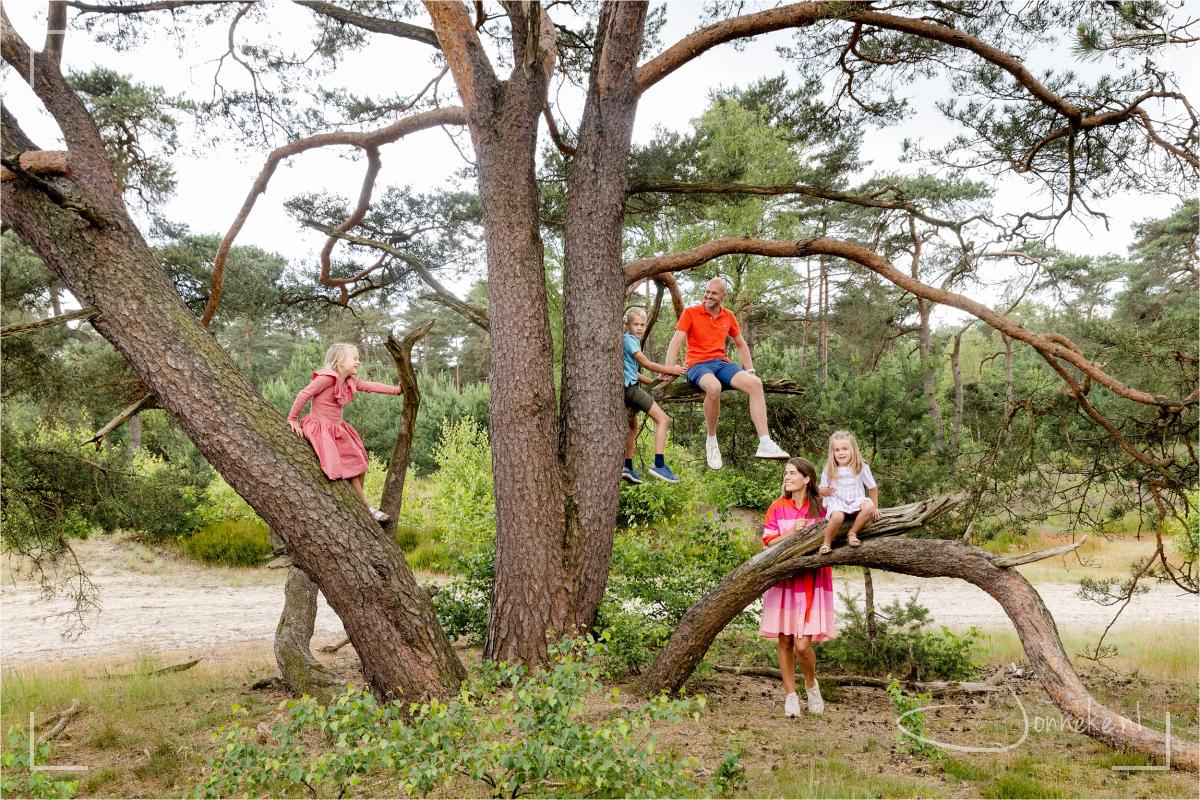 Als je nu mocht kiezen waar deze boom vol mee hangt.. wat kies je dan? Lollies, knuffels, ... en zo nog veel meer opties ;-)