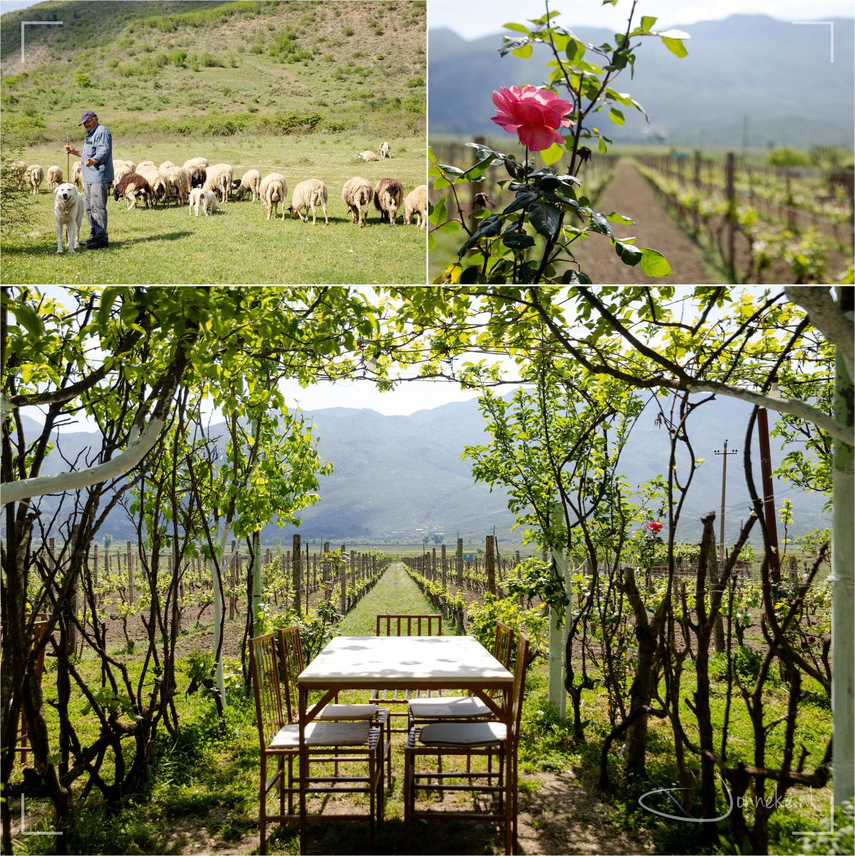 Albanie - land met veel gezichten