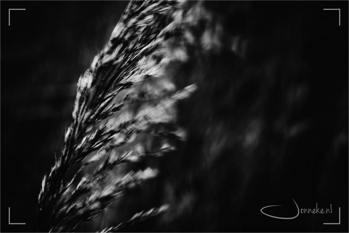 Abstracte winter
