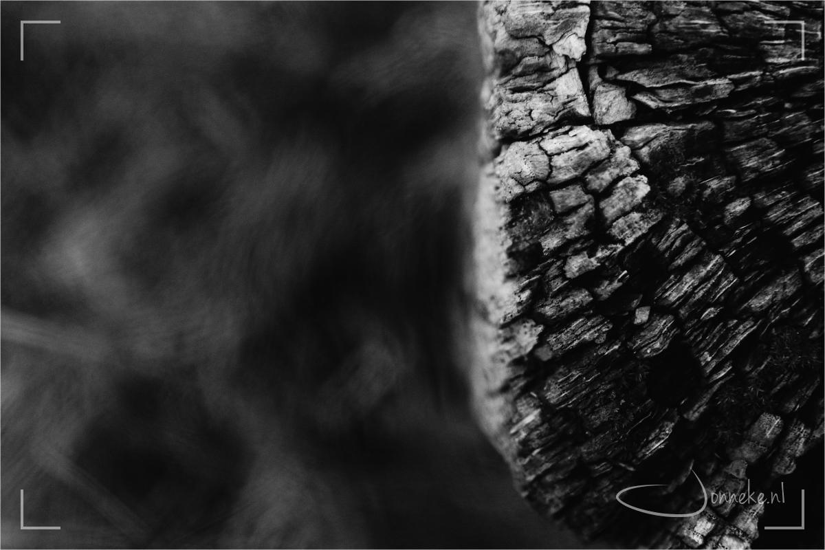 Abstracte winter