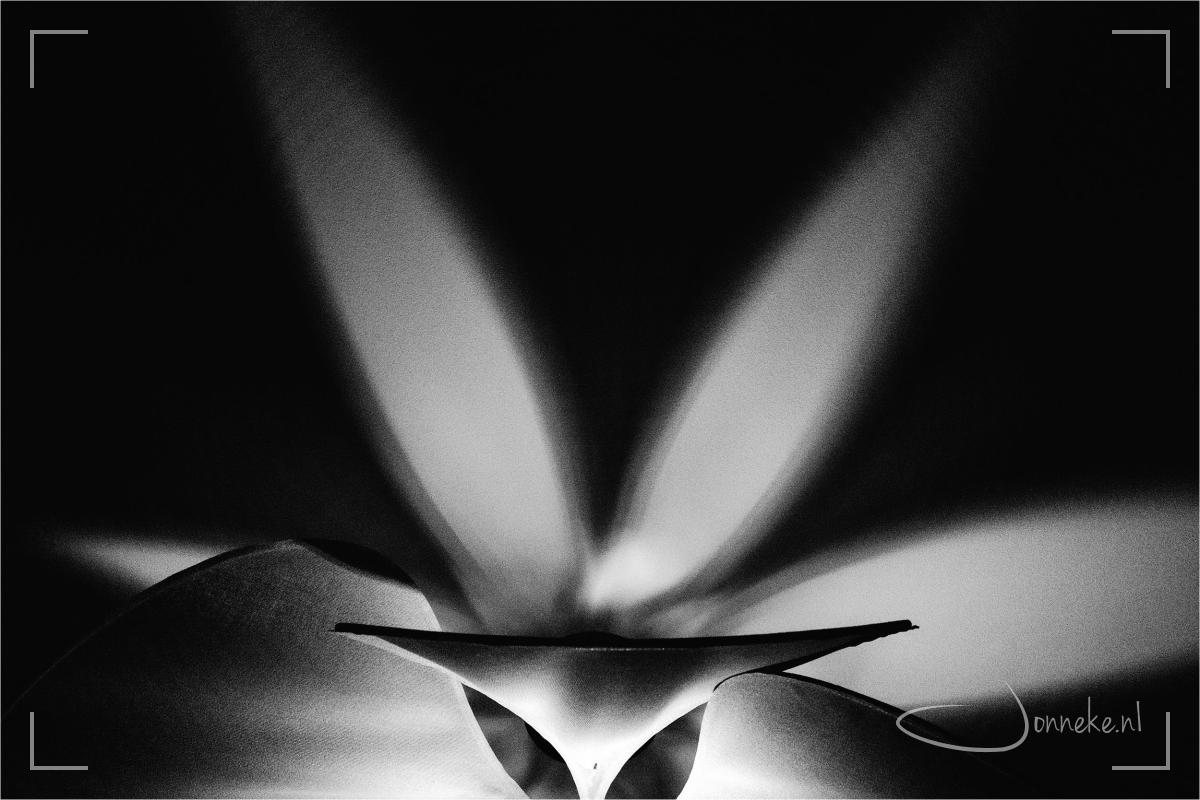 Abstracte winter