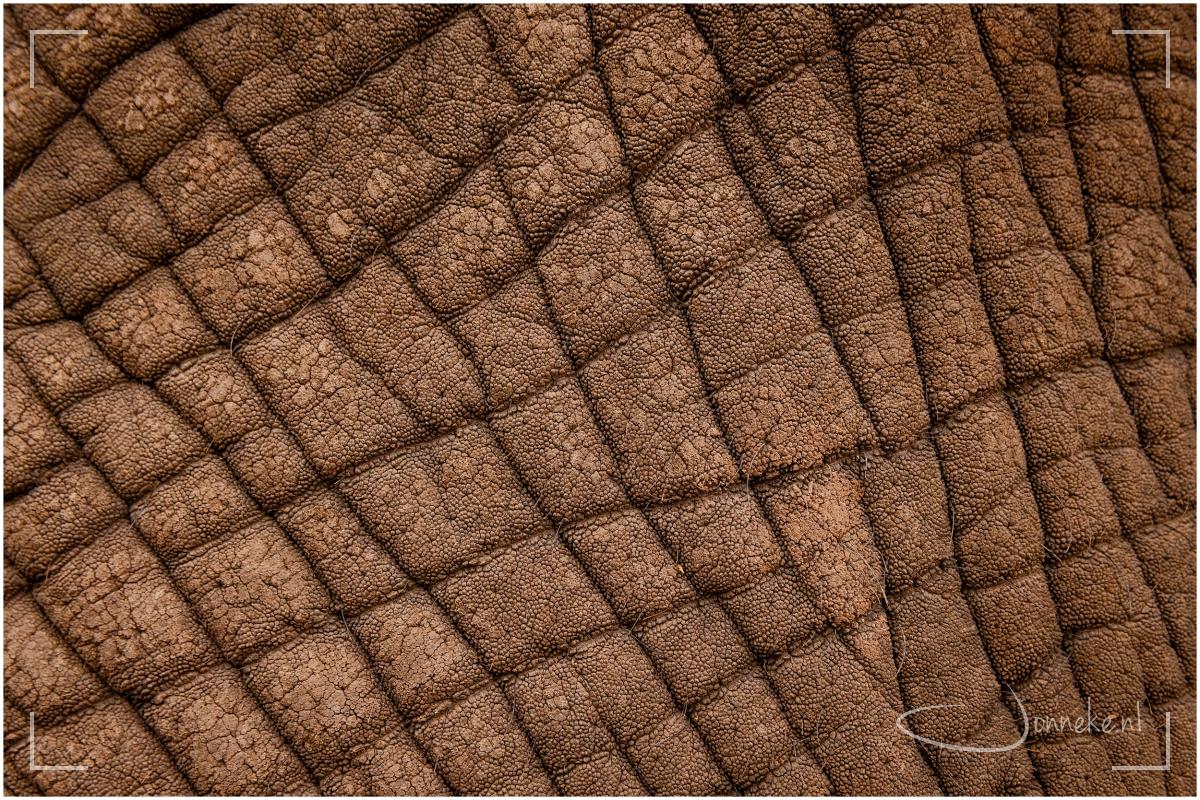 Idee wat dit is?