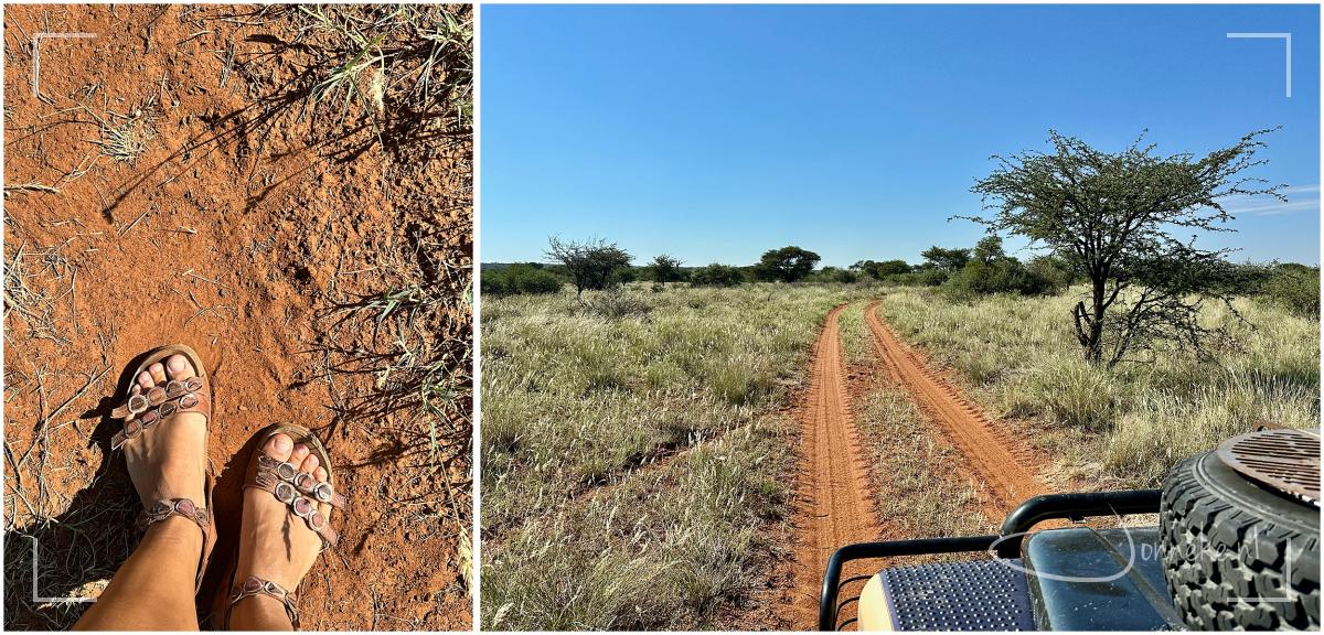 My voete op rooi grond en ek is tuis.