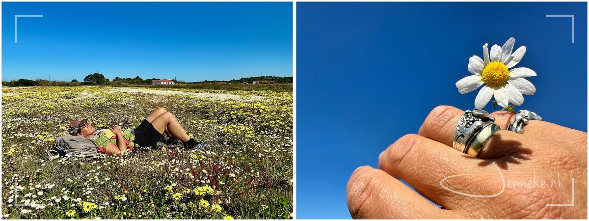 Het fijne van alleen lopen is dat je gewoon even kan doen waar je zin in hebt. Dat mooie bloemenveld? Hoe voelt het ook alweer om daar gewoon in te liggen? Vertragen, verwonderen.