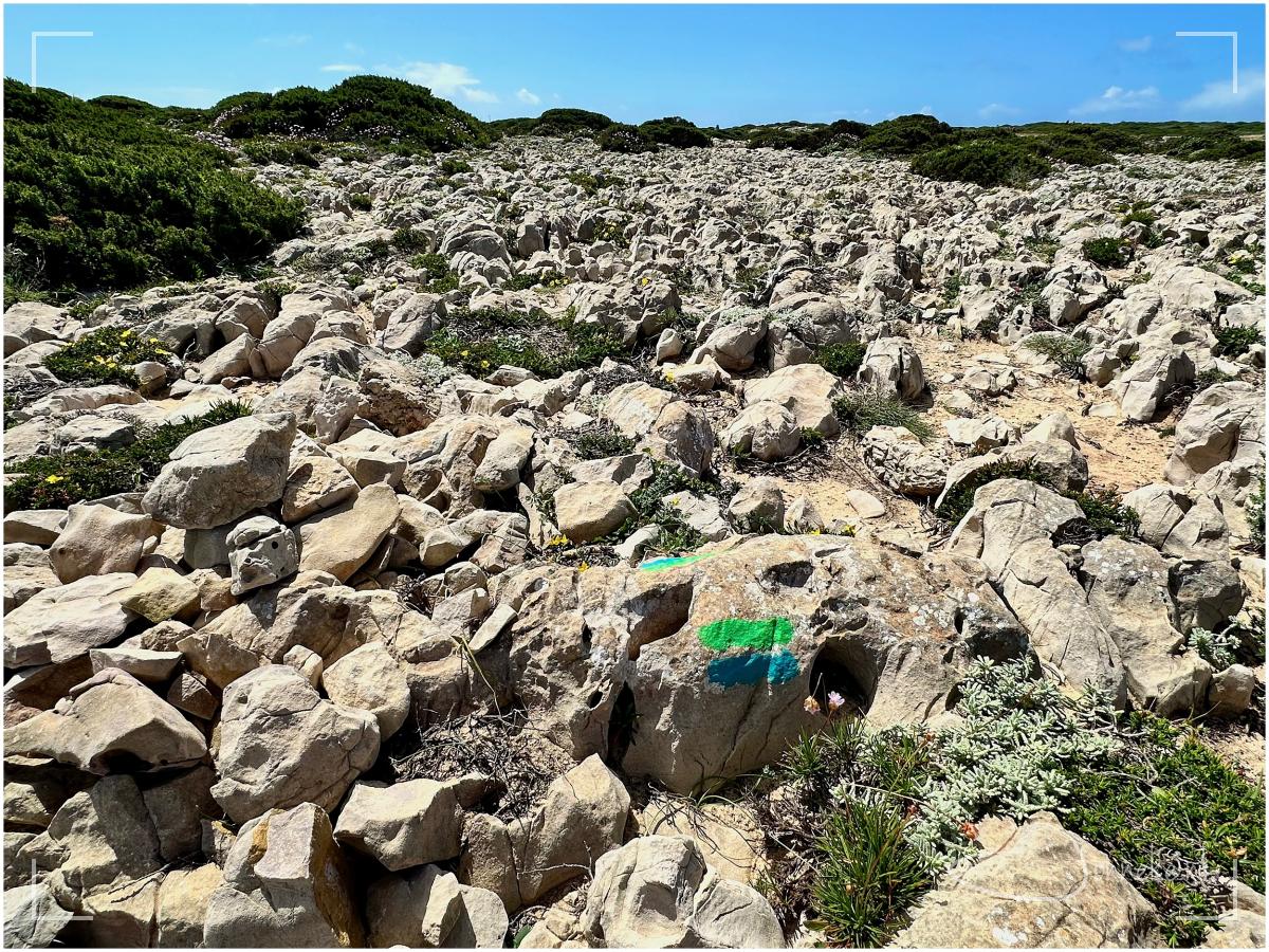 Kun je je voorstellen hoe het is om dit kilo-kilometers lang te lopen? Op en top balanceren van steen naar steen. Ik had niet gedacht dat er nog een moment zou komen dat ik zou verlangen naar zand, hahah!