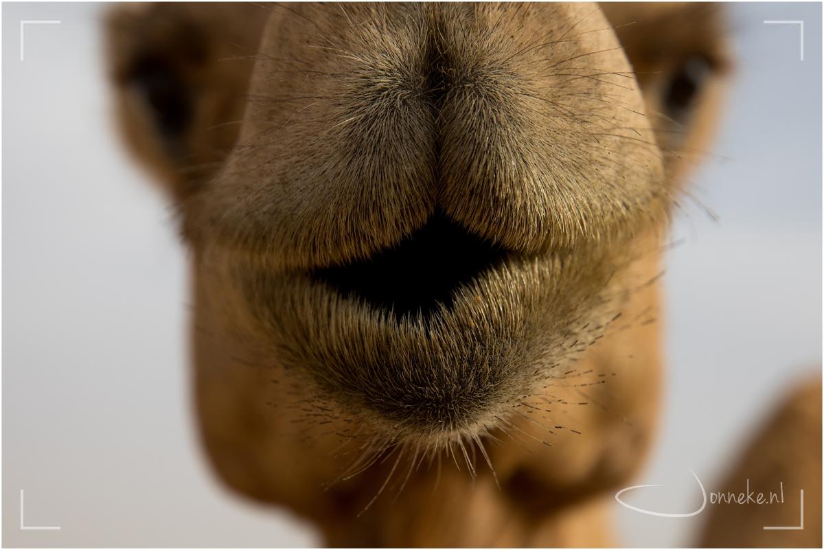 Hoe en waarom zou je terugblikken en de balans opmaken?