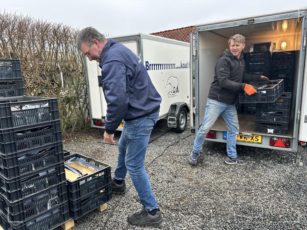 Tellen, tellen, tellen. Waar je denkt dat er precies 650 zijn, komen er soms toch een paar tekort. Tellen, tellen, tellen: Sjoerd heeft niet anders gedaan deze weken.