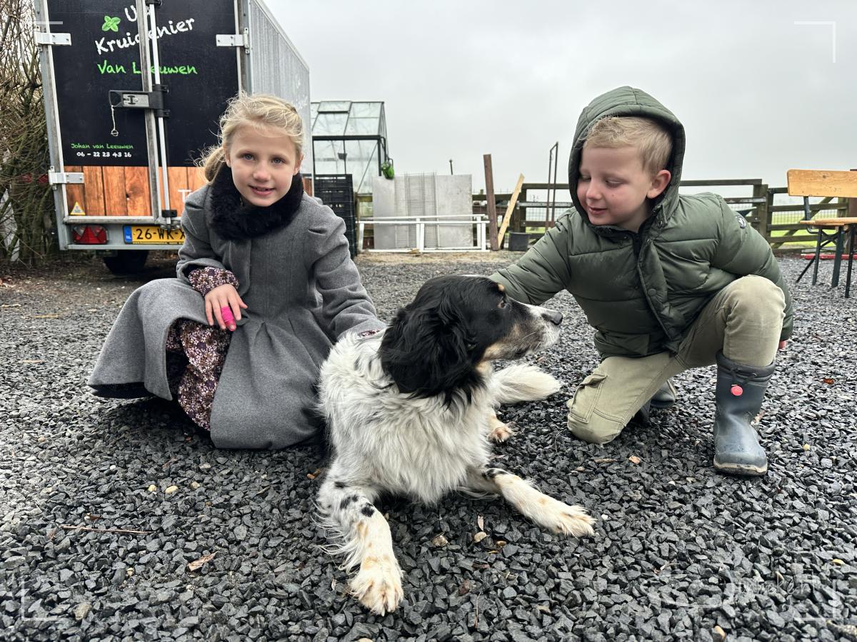 Onze honden hebben wat knuffels gehad, ongelofelijk ;-)