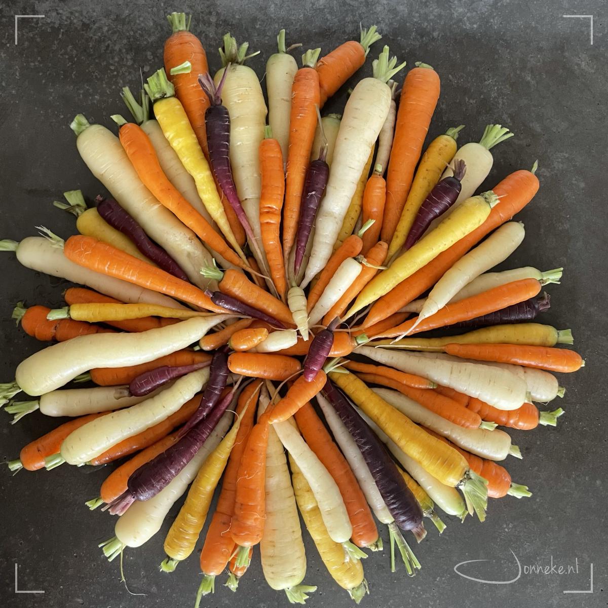 Wortels uit m'n eigen moestuin: wat een feestje!